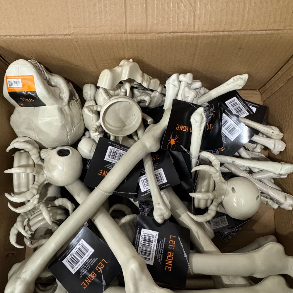Halloween Skeleton Bone Set